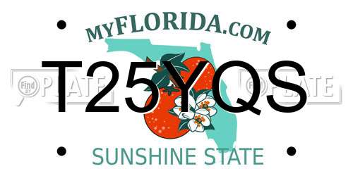 T25YQS Florida License Plate