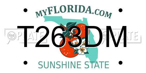 T263DM Florida License Plate