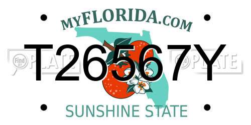 T26567Y Florida License Plate