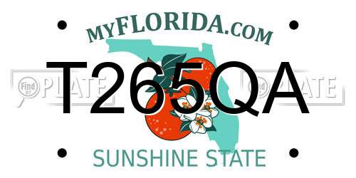 T265QA Florida License Plate