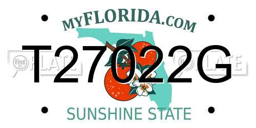 T27022G Florida License Plate
