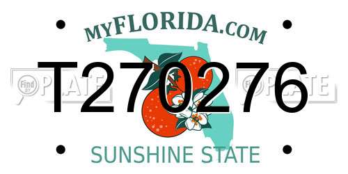 T270276 Florida License Plate