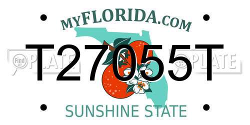 T27055T Florida License Plate