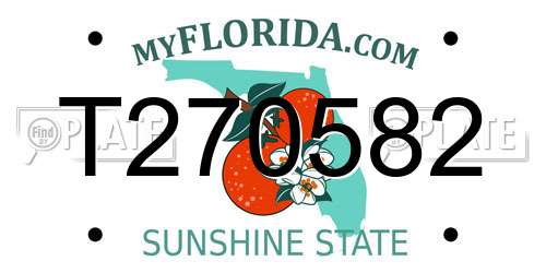 T270582 Florida License Plate