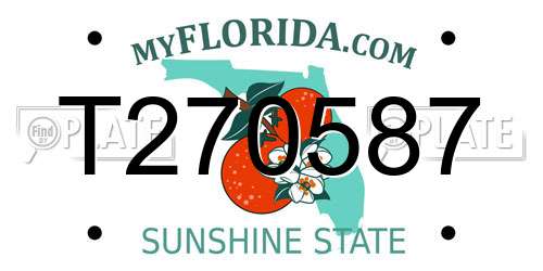 T270587 Florida License Plate