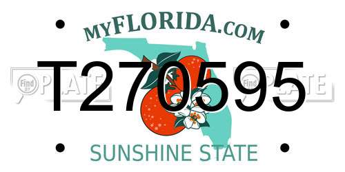 T270595 Florida License Plate