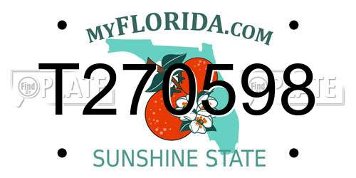 T270598 Florida License Plate
