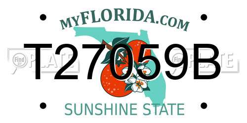 T27059B Florida License Plate