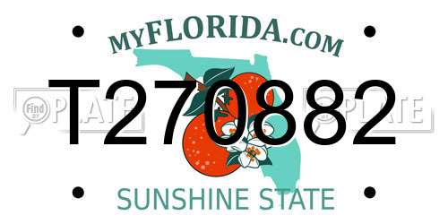 T270882 Florida License Plate