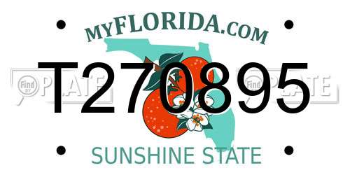 T270895 Florida License Plate