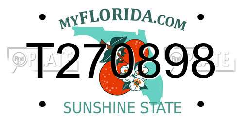 T270898 Florida License Plate