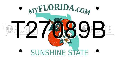 T27089B Florida License Plate
