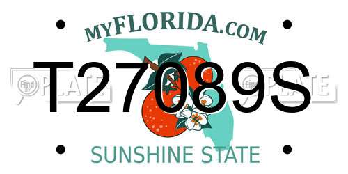 T27089S Florida License Plate