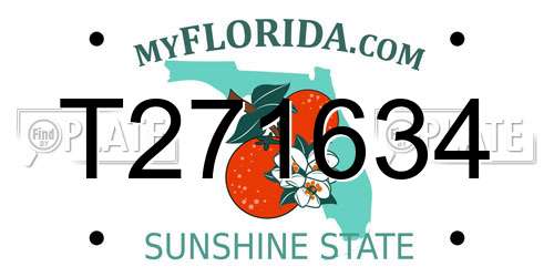 T271634 Florida License Plate