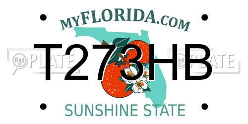 T273HB Florida License Plate
