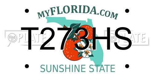 T273HS Florida License Plate