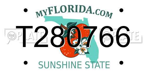 T280766 Florida License Plate