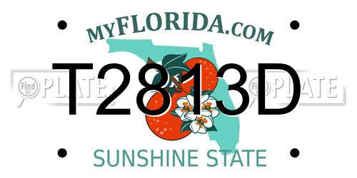 T2813D Florida License Plate