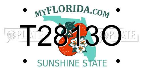 T2813O Florida License Plate