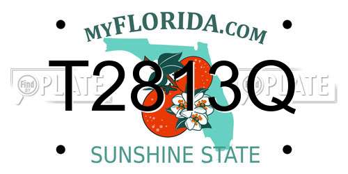 T2813Q Florida License Plate