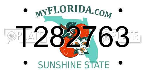 T282763 Florida License Plate
