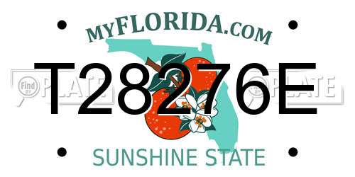 T28276E Florida License Plate