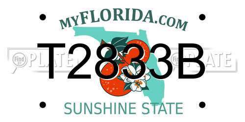 T2833B Florida License Plate