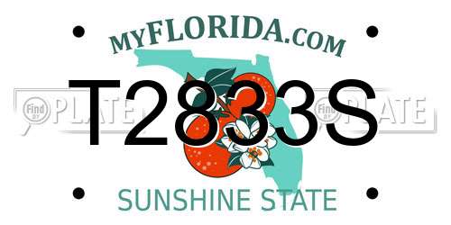 T2833S Florida License Plate