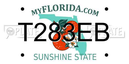 T283EB Florida License Plate