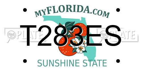 T283ES Florida License Plate