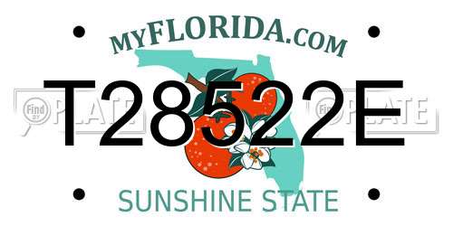 T28522E Florida License Plate
