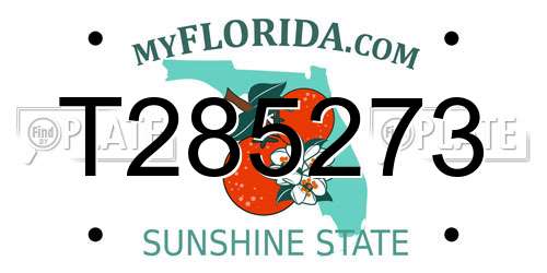 T285273 Florida License Plate