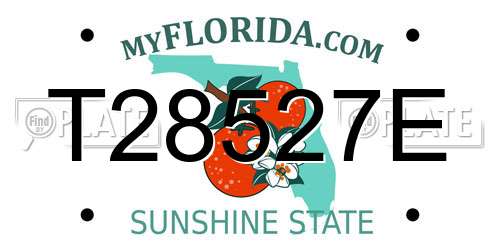 T28527E Florida License Plate