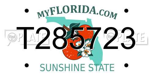 T285723 Florida License Plate