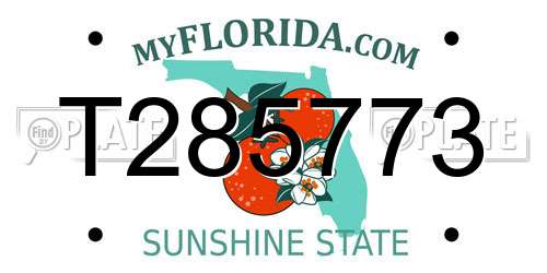 T285773 Florida License Plate