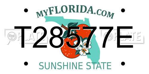 T28577E Florida License Plate