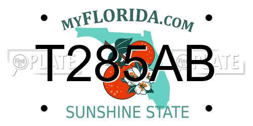 T285AB Florida License Plate