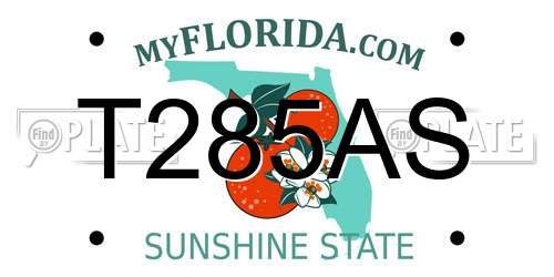 T285AS Florida License Plate