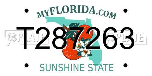 T287263 Florida License Plate