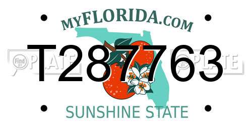 T287763 Florida License Plate