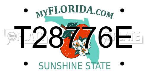 T28776E Florida License Plate