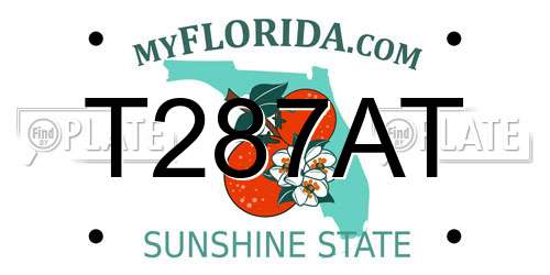 T287AT Florida License Plate