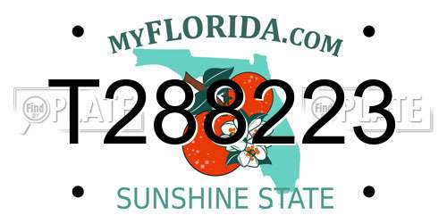 T288223 Florida License Plate