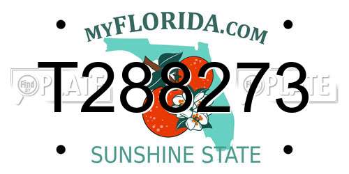 T288273 Florida License Plate