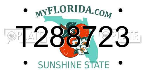 T288723 Florida License Plate