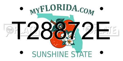 T28872E Florida License Plate