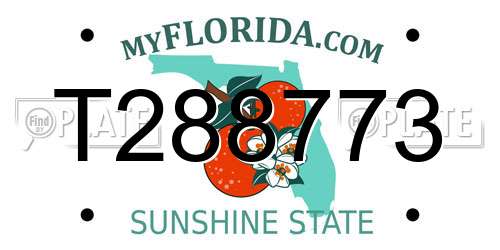 T288773 Florida License Plate