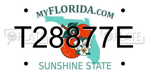 T28877E Florida License Plate