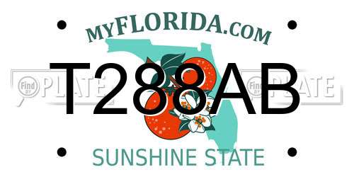 T288AB Florida License Plate