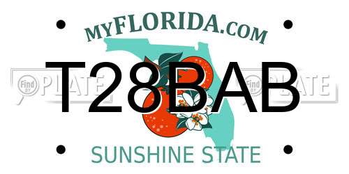 T28BAB Florida License Plate